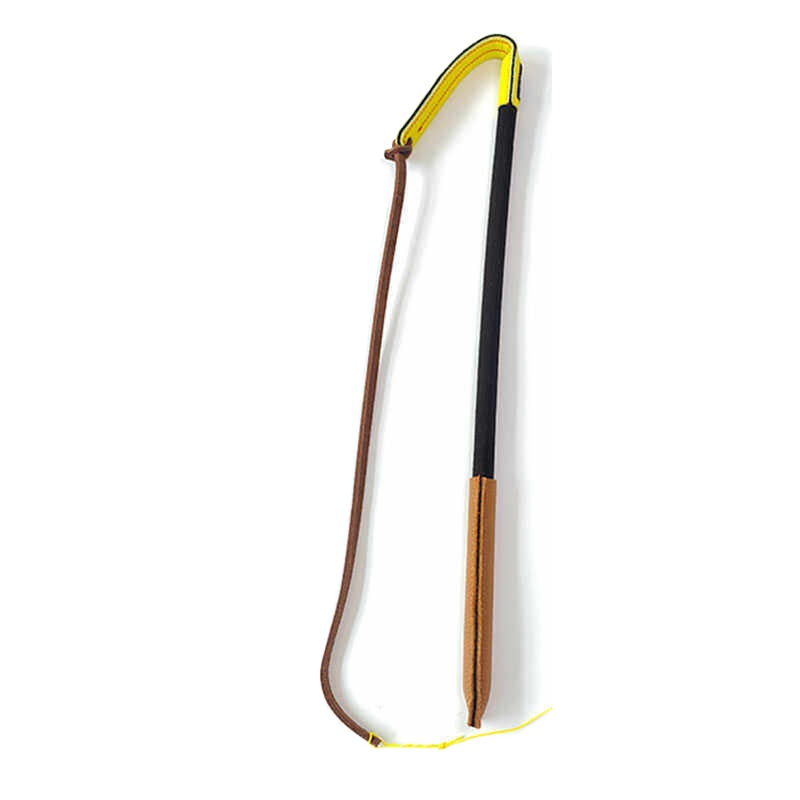 Frusta in Pelle per Addestrame - Leatherwork Training recensione e prezzo